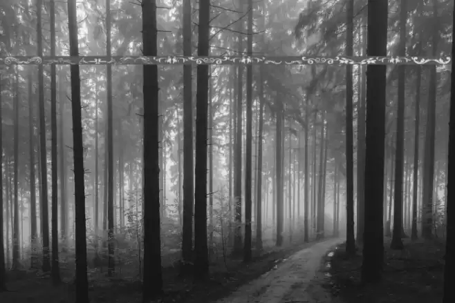 Sughayer Separates 2 Polices examples