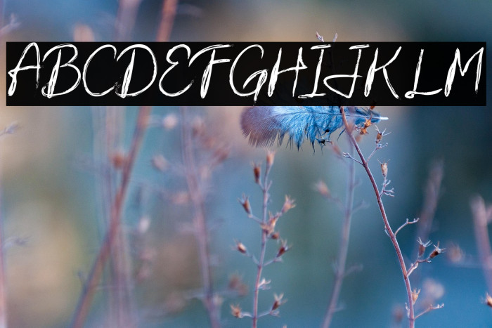 Sugih Janji Example 2