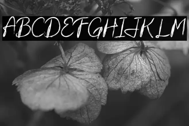 SugihJanji Font examples