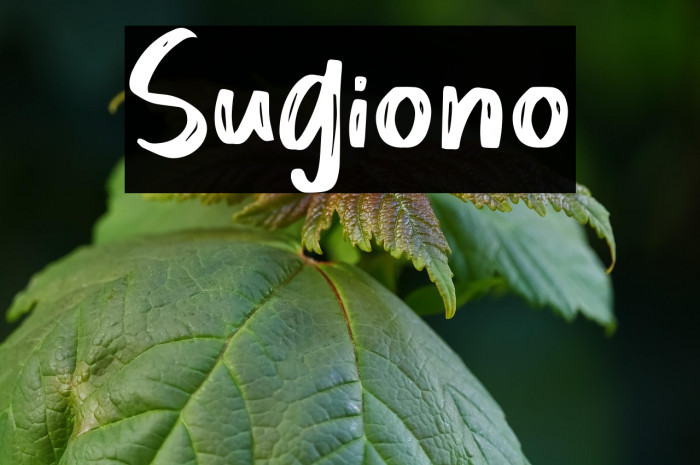 Sugiono Example 2