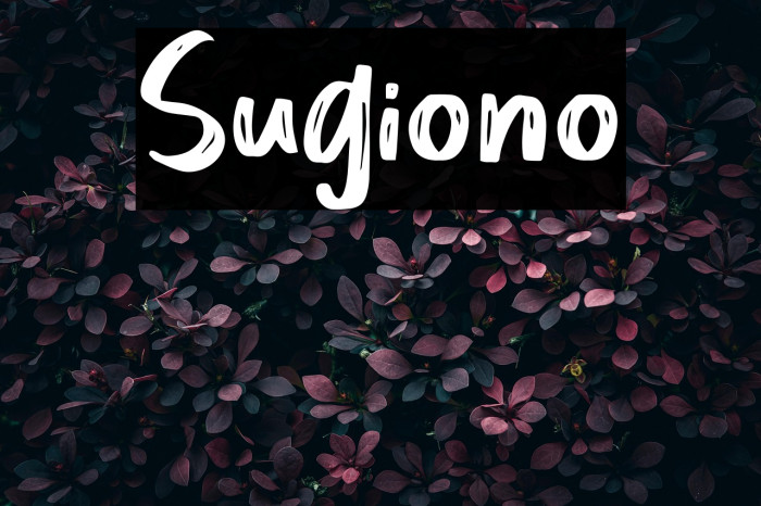 Sugiono Example 3