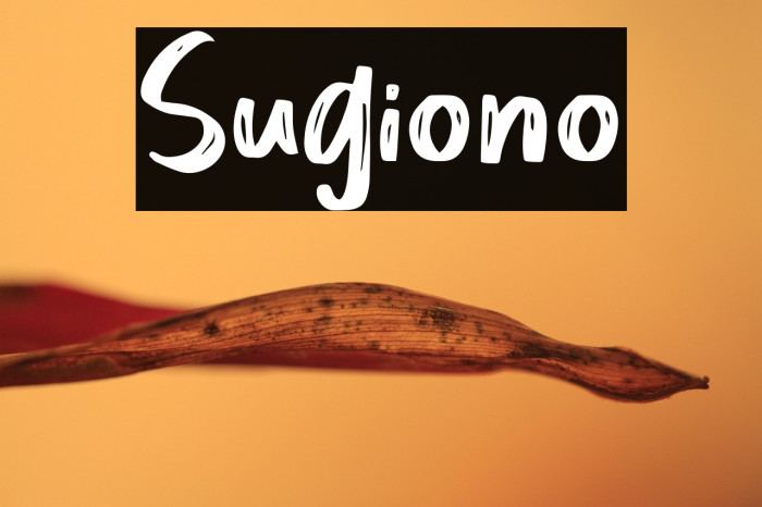 Sugiono Example 2