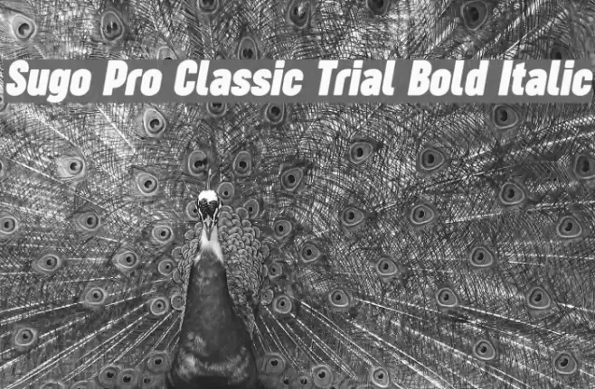 Sugo Pro Classic Trial Bold Italic Font examples