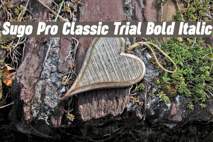 Sugo Pro Classic Trial Bold Italic Example 3