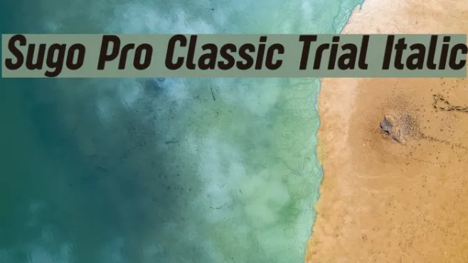Sugo Pro Classic Trial Italic Example 1
