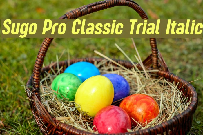 Sugo Pro Classic Trial Italic Font examples