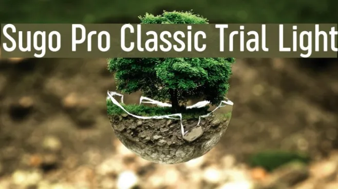 Sugo Pro Classic Trial Light Example 2