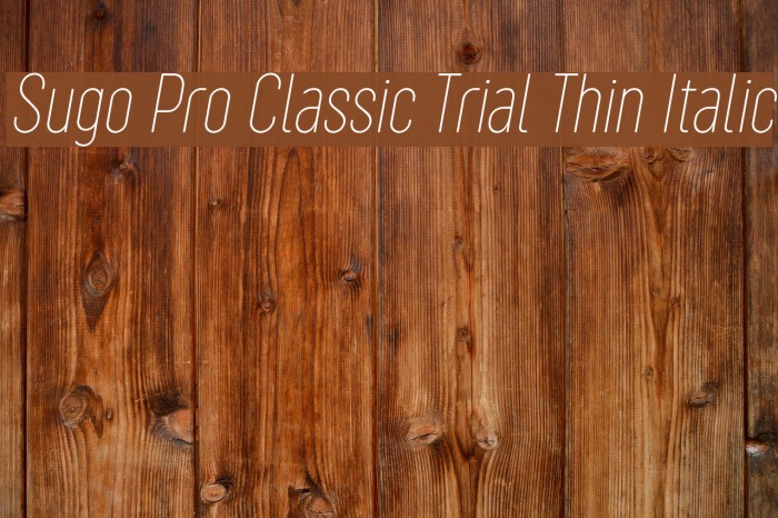 Sugo Pro Classic Trial Thin Italic Example 3