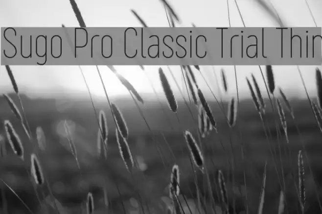 Sugo Pro Classic Trial Thin Font examples