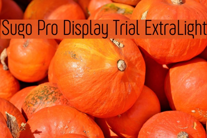 Sugo Pro Display Trial ExtraLight Font examples