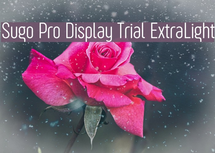 Sugo Pro Display Trial ExtraLight Font examples