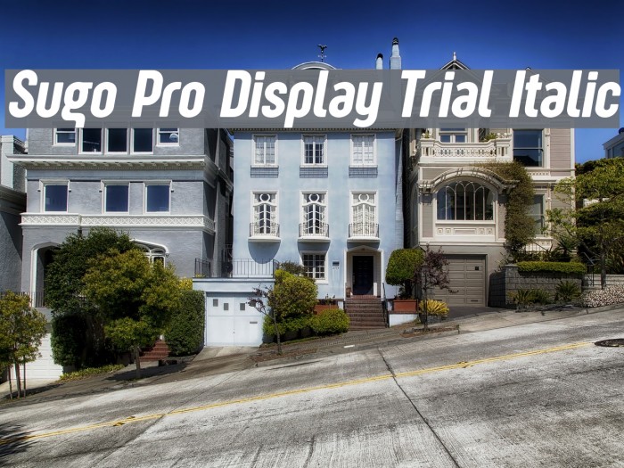 Sugo Pro Display Trial Italic Example 3