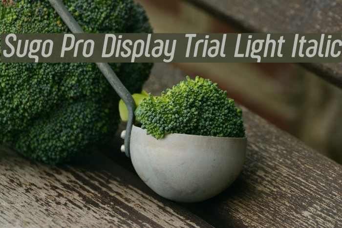 Sugo Pro Display Trial Light Italic Example 1