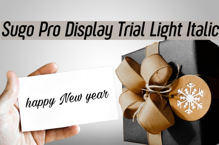 Sugo Pro Display Trial Light Italic Example 3