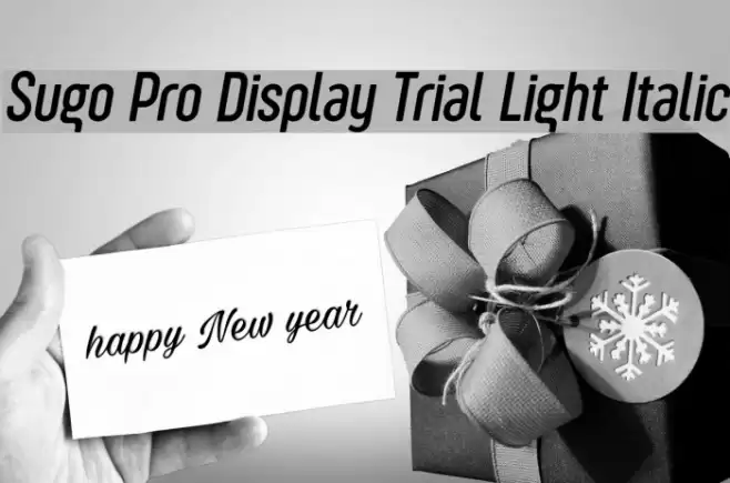 Sugo Pro Display Trial Light Italic Font examples