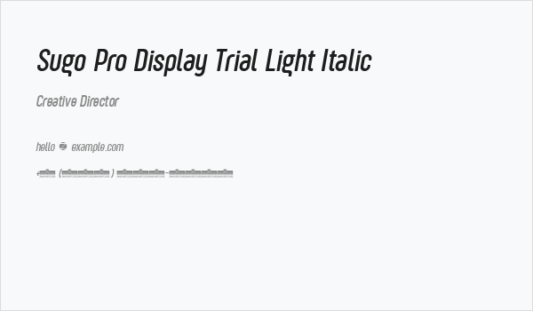 Sugo Pro Display Trial Light Italic Business Card