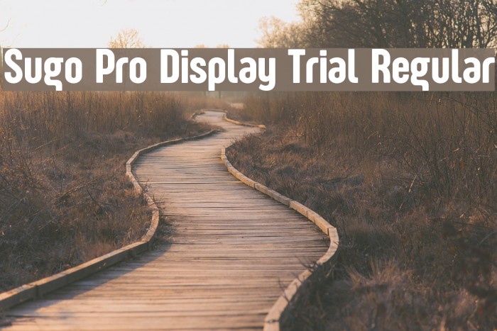 Sugo Pro Display Trial Regular Font examples