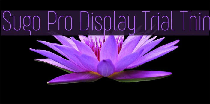 Sugo Pro Display Trial Thin Font examples