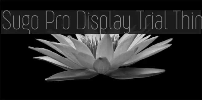 Sugo Pro Display Trial Thin Font examples