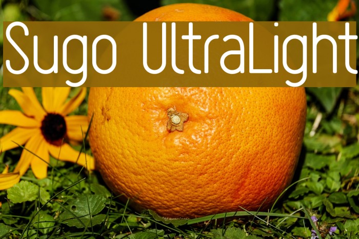Sugo UltraLight Font examples