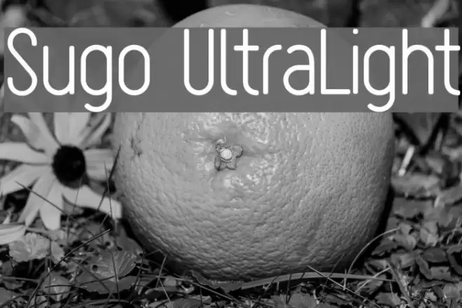 Sugo UltraLight フォント examples