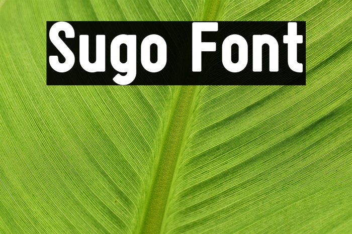 Sugo Font examples
