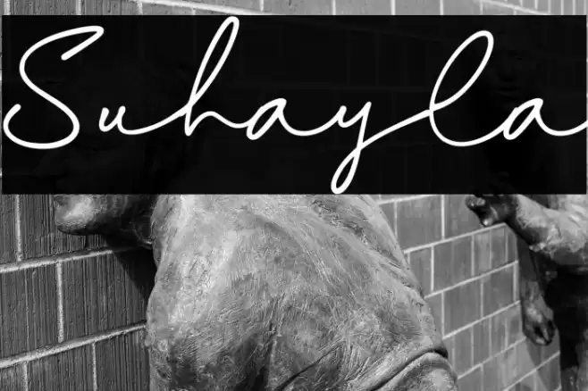 Suhayla Font examples