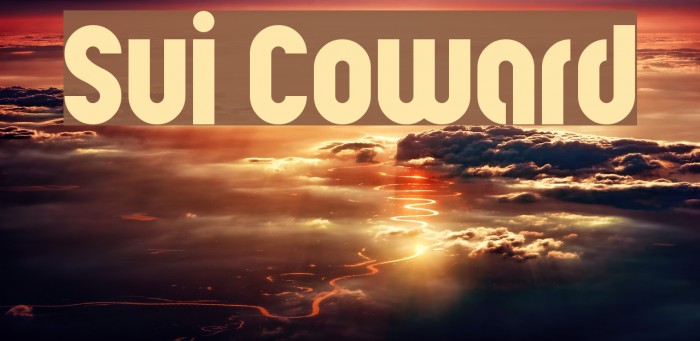 Sui Coward Example 1