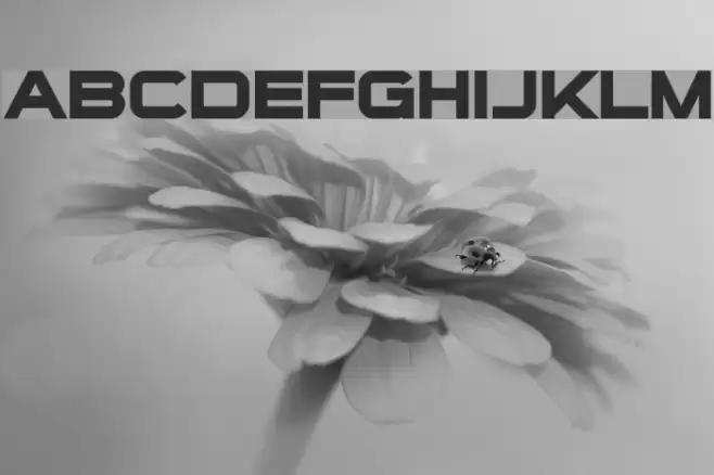 Sui Generis Bold フォント examples