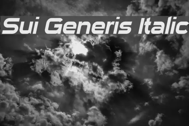 Sui Generis Italic خط examples