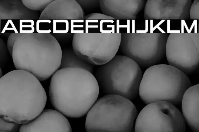 SuiGenerisRg-Regular Font examples