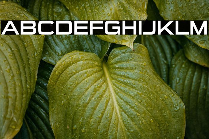 SuiGenerisRg-Regular Example 2