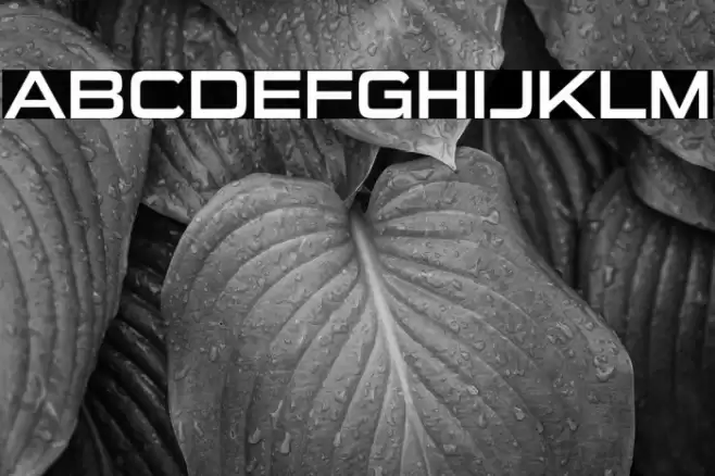 SuiGenerisRg-Regular Font examples