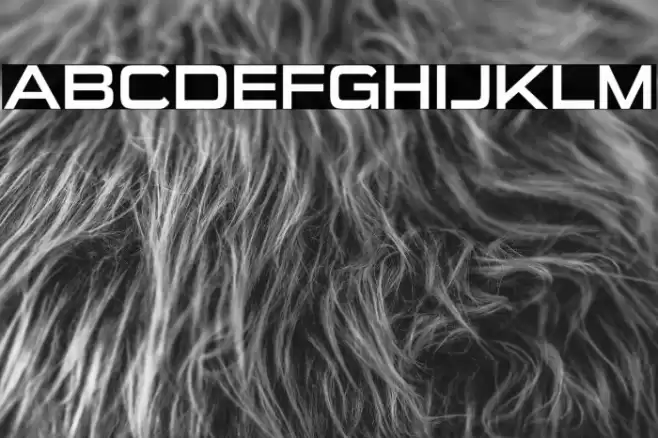 SuiGenerisRg-Regular Font examples