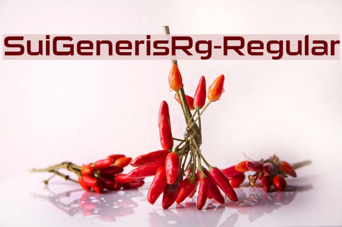 SuiGenerisRg-Regular Example 2