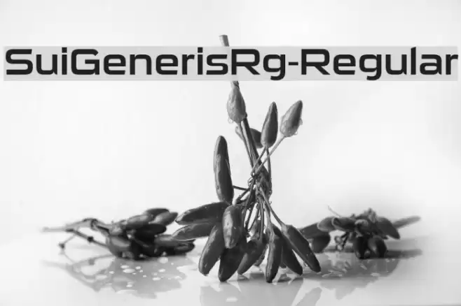 SuiGenerisRg-Regular Font examples