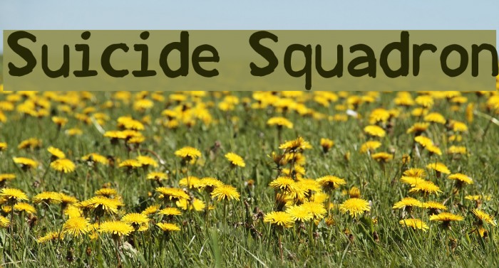 Suicide Squadron لخطوط تنزيل examples