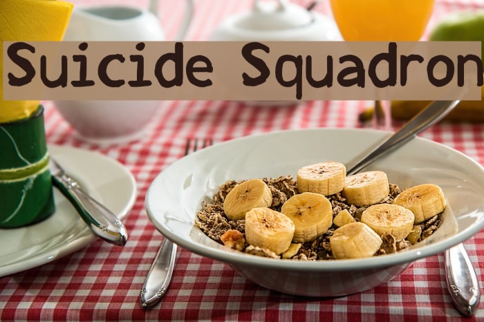 Suicide Squadron لخطوط تنزيل examples