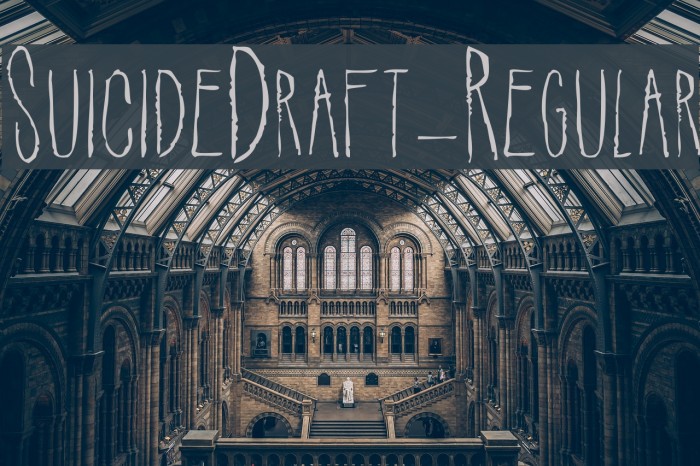 SuicideDraft-Regular Font examples