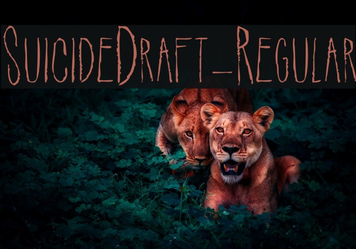 SuicideDraft-Regular Font examples