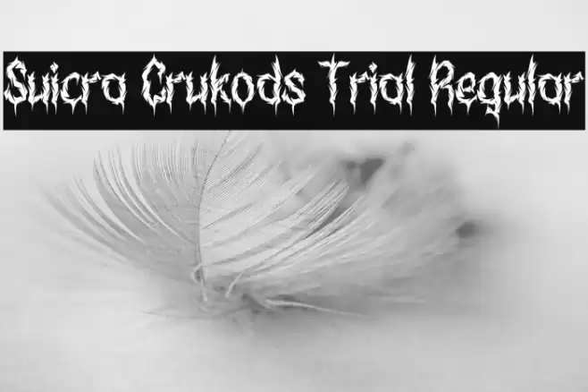 Suicra Crukods Trial Regular Schriftart examples