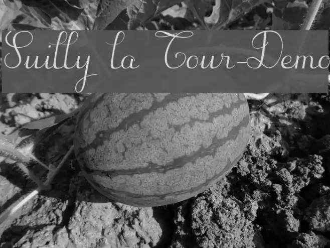 Suilly la Tour-Demo Font examples
