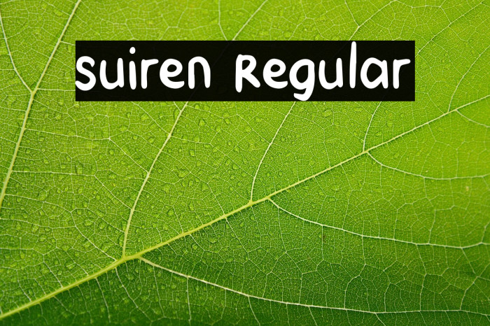 Suiren Regular Example 2