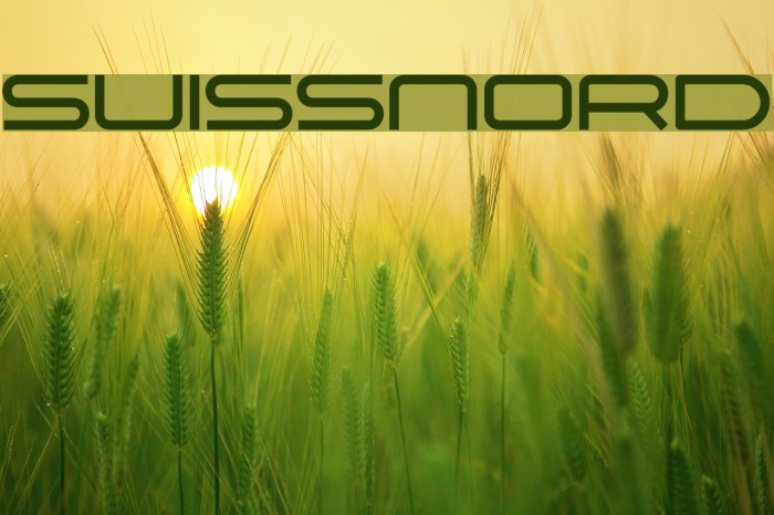 Suissnord Font examples
