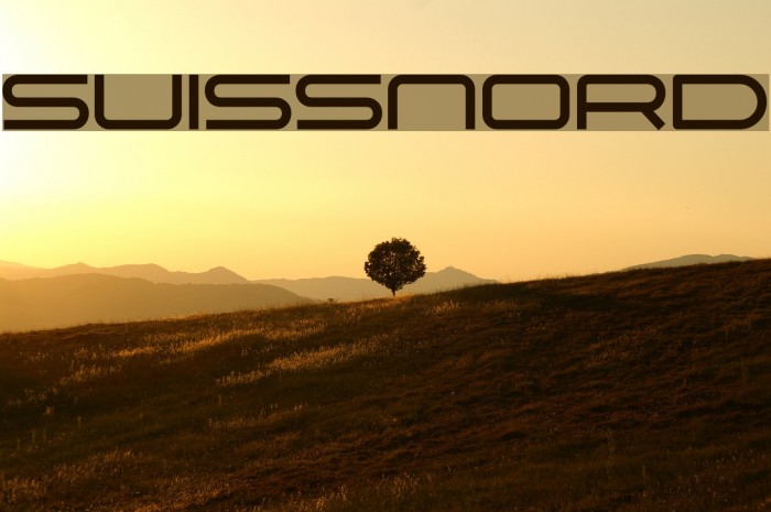 Suissnord Font examples
