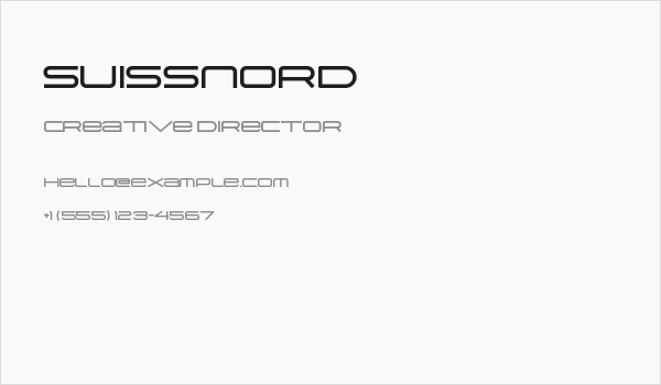 Suissnord Business Card