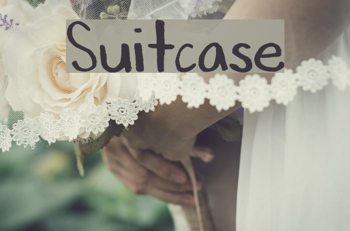 Suitcase Font examples