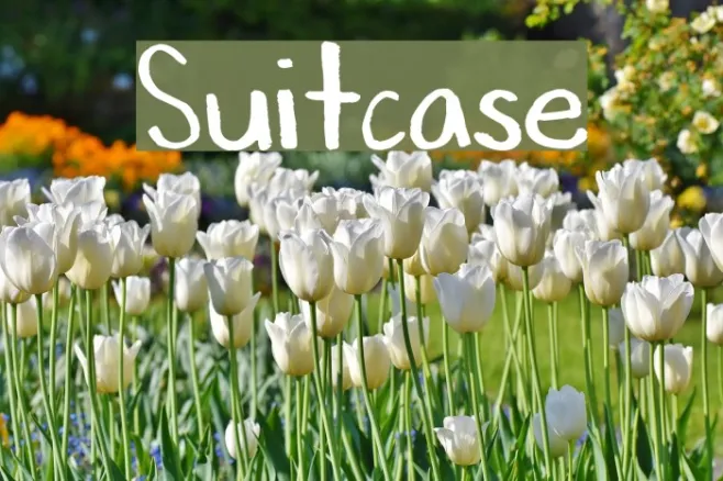 Suitcase Example 3