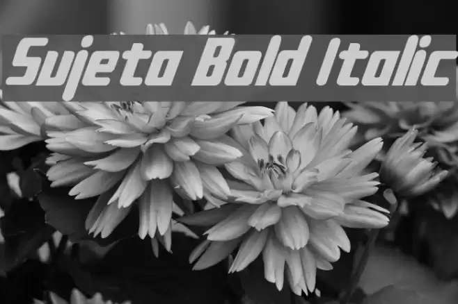 Sujeta Bold Italic Font examples