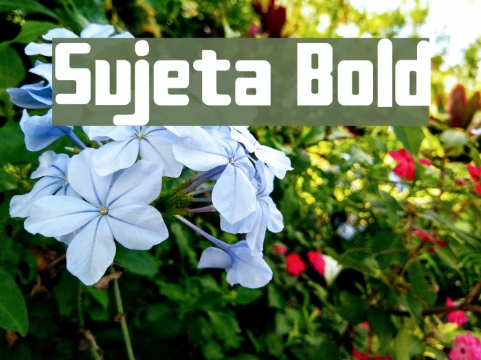 Sujeta Bold Font examples